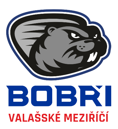 HC Bobi Valask Mezi